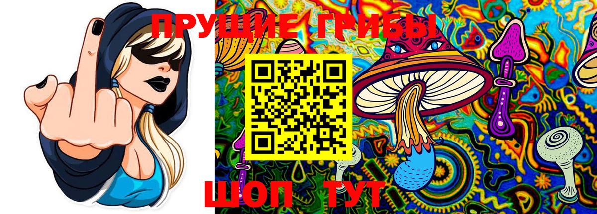 Краснодар  Галлюциногенные грибы Magic Shrooms  Вход с VPN 